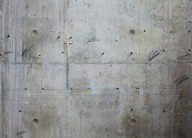 Best Concrete Sealing and Maintenance in Belleview, FL